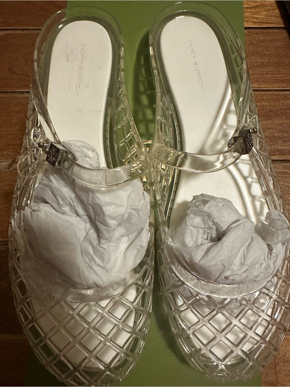 Tory Burch Clear Jelly Mary Jane Sandals